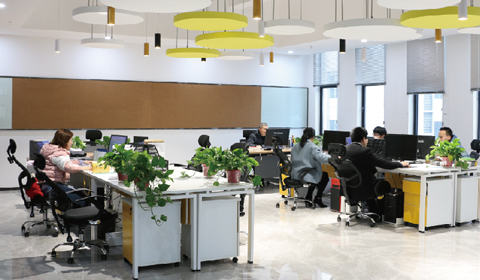 高素质研发实力，确立市场核心竞争力